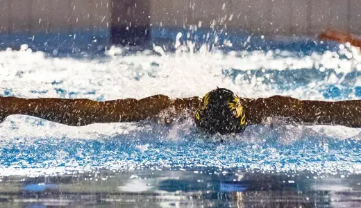 competitions bras panon la réunion